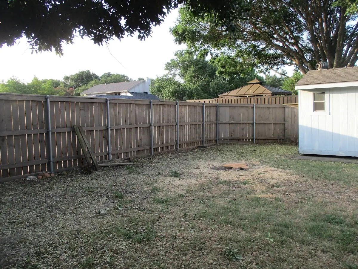 Cleared yard after professional tree removal in Cambridge